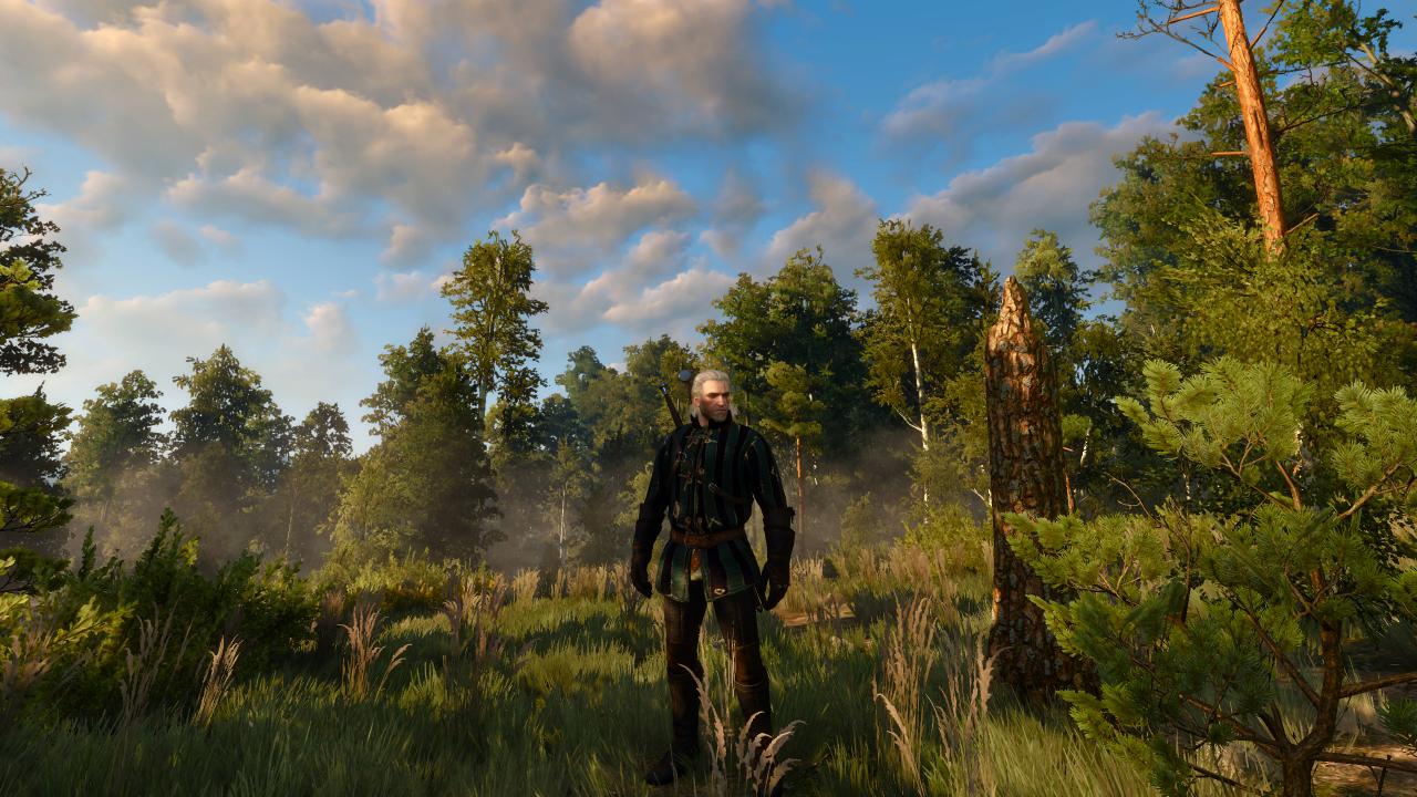 [17/05/2015] The Witcher 3 - Bilder aus den ersten Spielstunden (86)