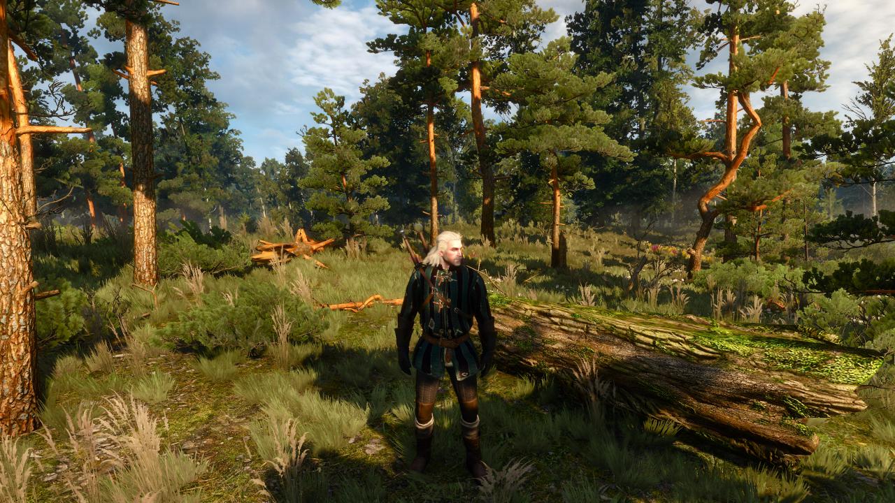 [17/05/2015] The Witcher 3 - Bilder aus den ersten Spielstunden (93)