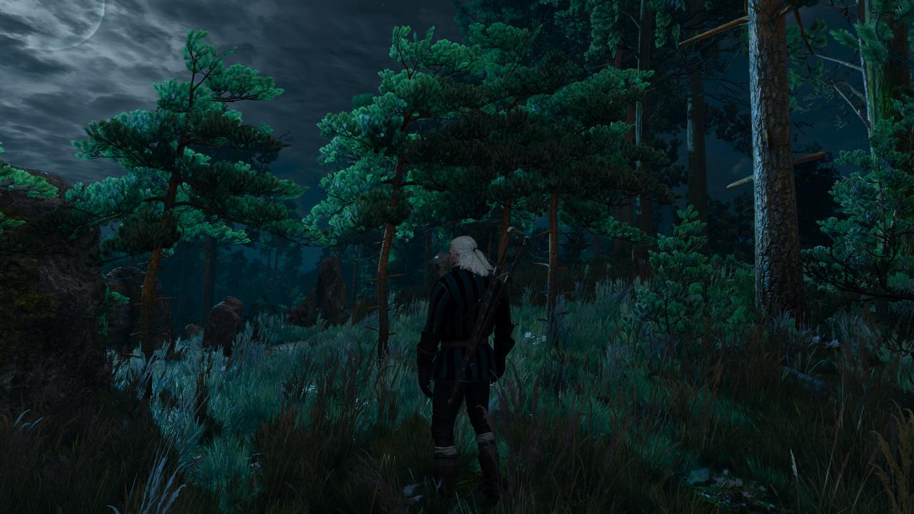 [17/05/2015] The Witcher 3 - Bilder aus den ersten Spielstunden (99)