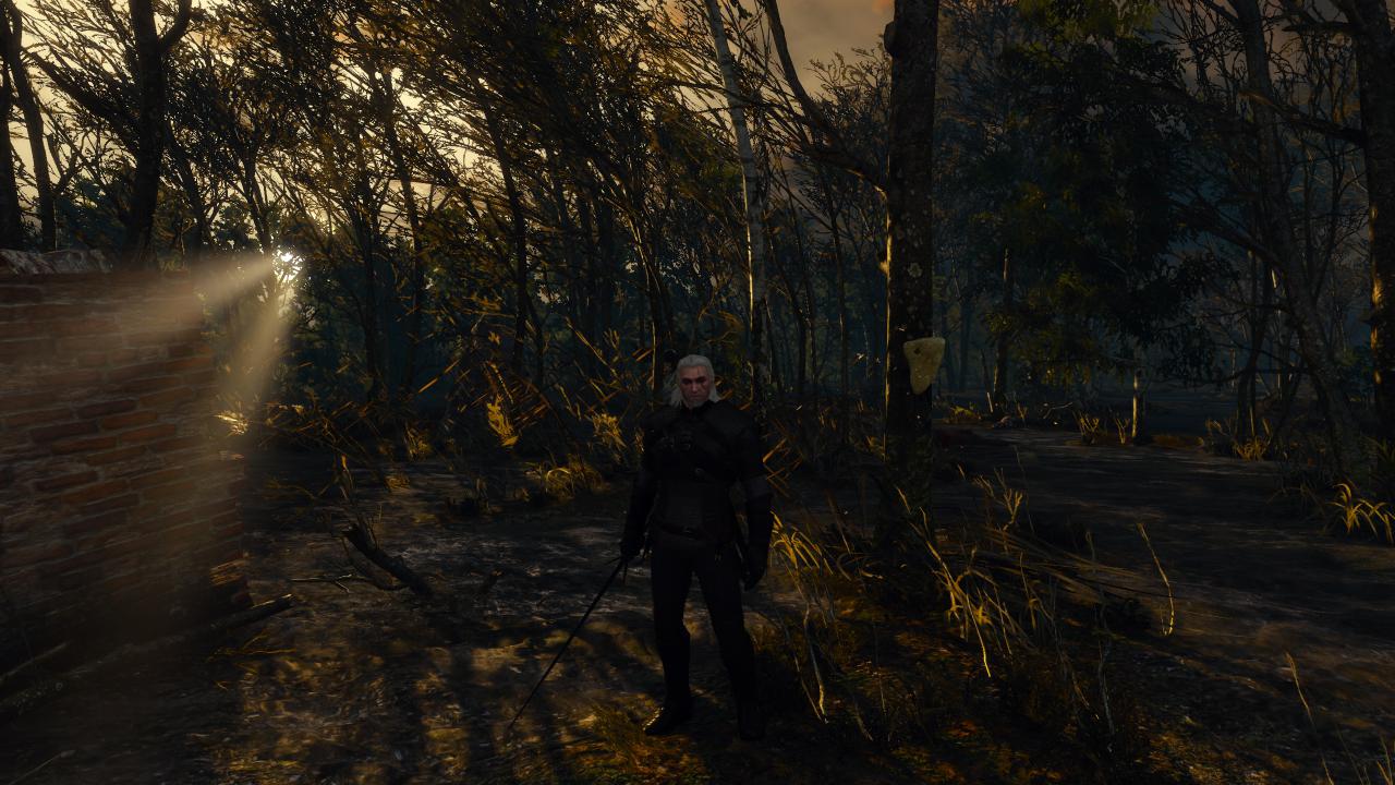 [17/05/2015] The Witcher 3 - Bilder aus den ersten Spielstunden (100)