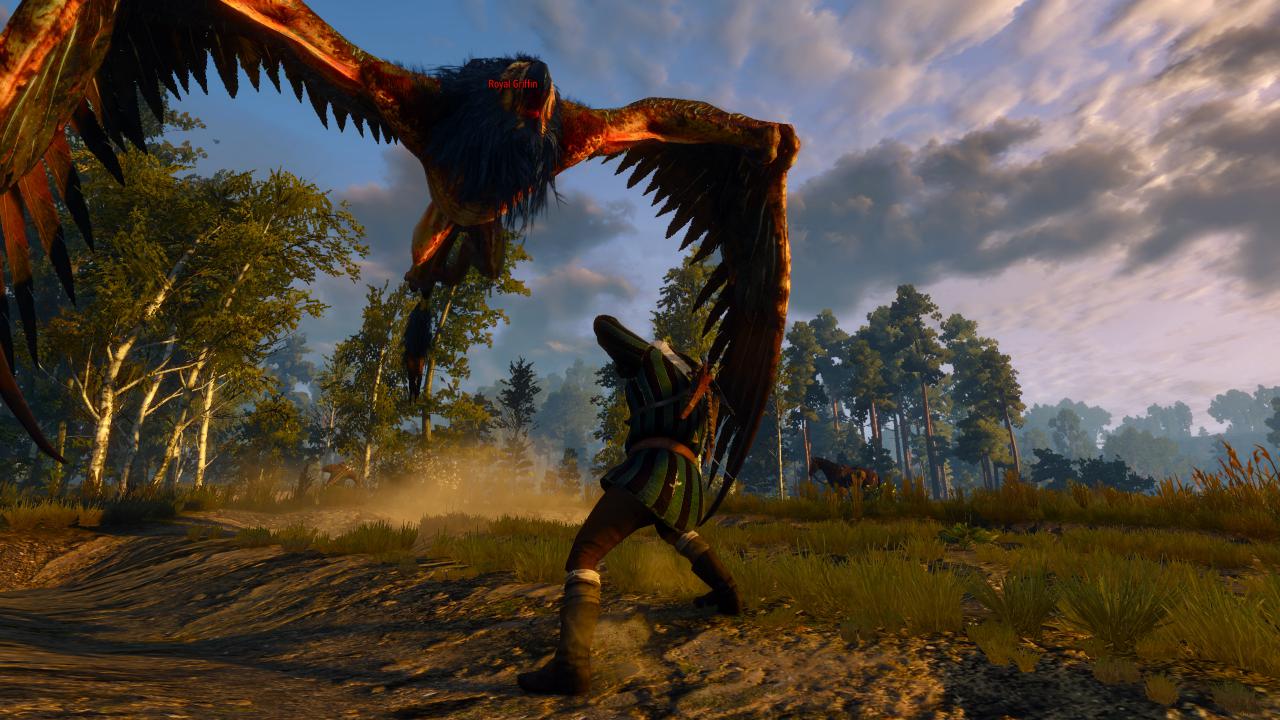 [17/05/2015] The Witcher 3: Nvidias 