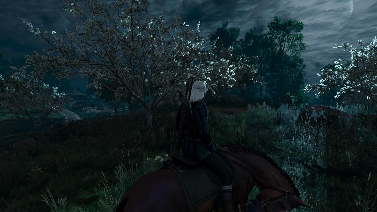 [17/05/2015] The Witcher 3 - Bilder aus den ersten Spielstunden (107)