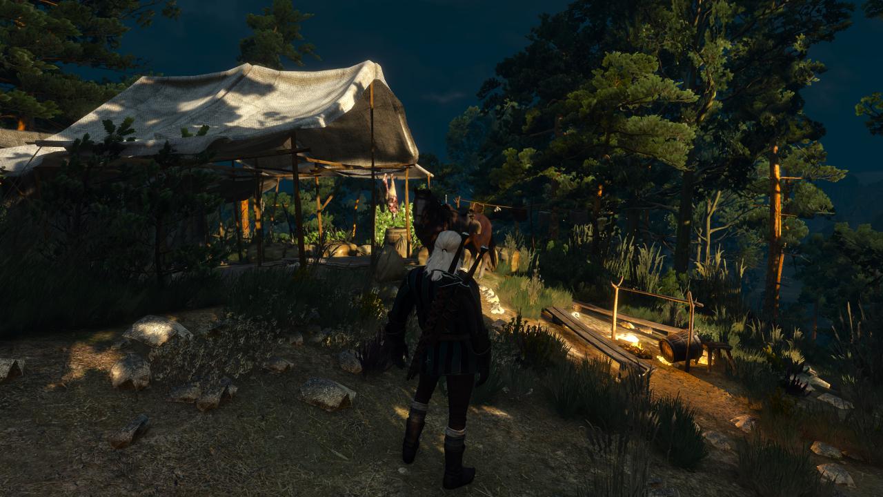 [17/05/2015] The Witcher 3 - Bilder aus den ersten Spielstunden (109)