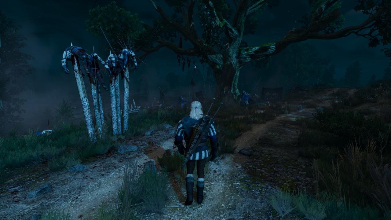 [17/05/2015] The Witcher 3 - Bilder aus den ersten Spielstunden (133)