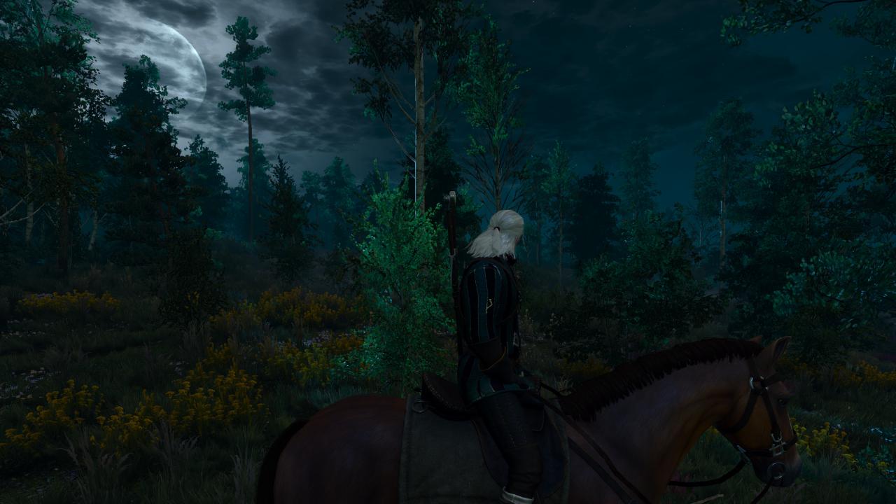 [17/05/2015] The Witcher 3 - Bilder aus den ersten Spielstunden (134)