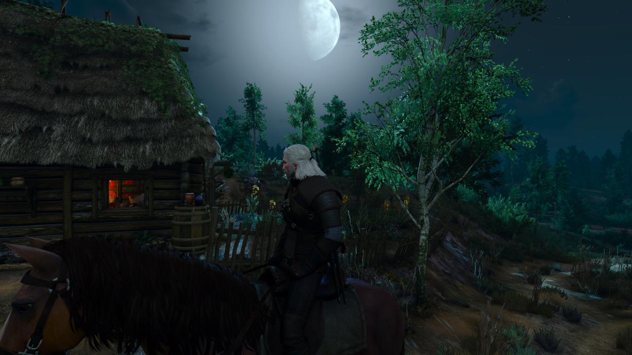 [17/05/2015] The Witcher 3 - Bilder aus den ersten Spielstunden (139)