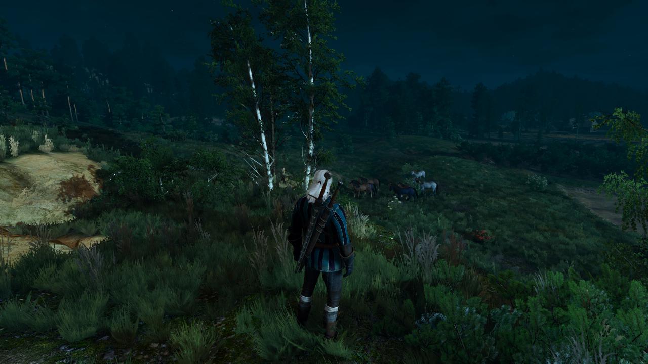 [17/05/2015] The Witcher 3 - Bilder aus den ersten Spielstunden (142)