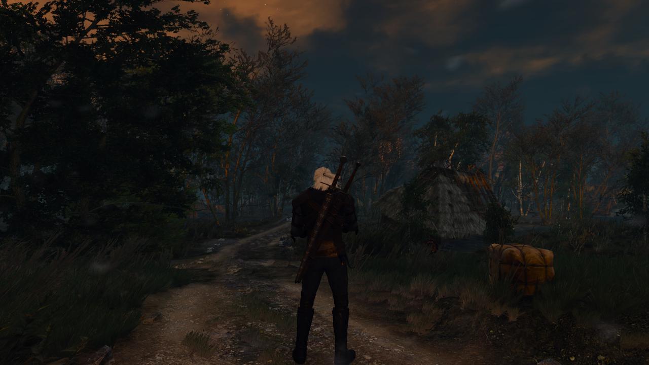 [17/05/2015] The Witcher 3 - Bilder aus den ersten Spielstunden (158)