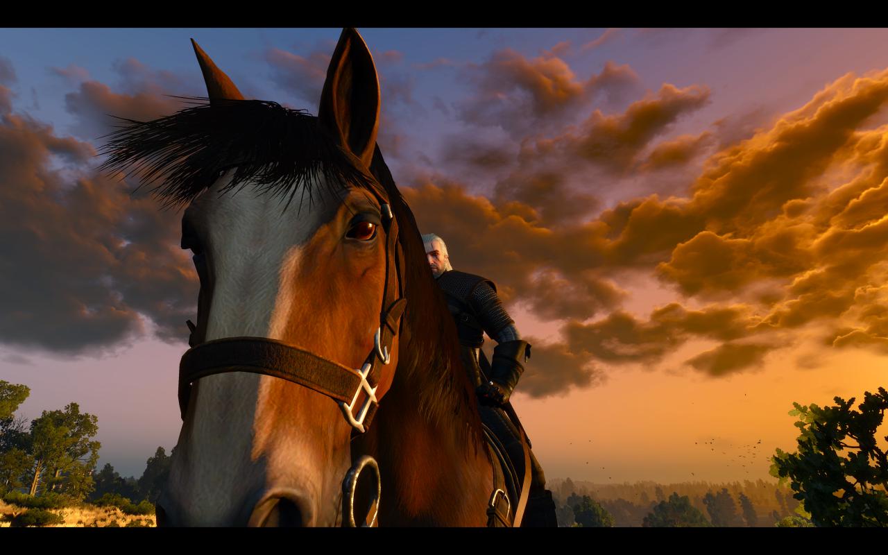 [13/05/2015] The Witcher 3: 3200p resized @ 1600p (5)