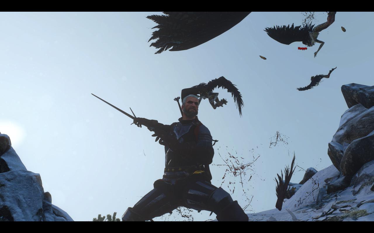 [13/05/2015] The Witcher 3: 3200p resized @ 1600p (7)