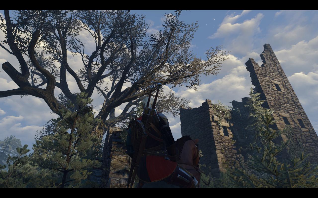 [13/05/2015] The Witcher 3: 3200p resized @ 1600p (11)