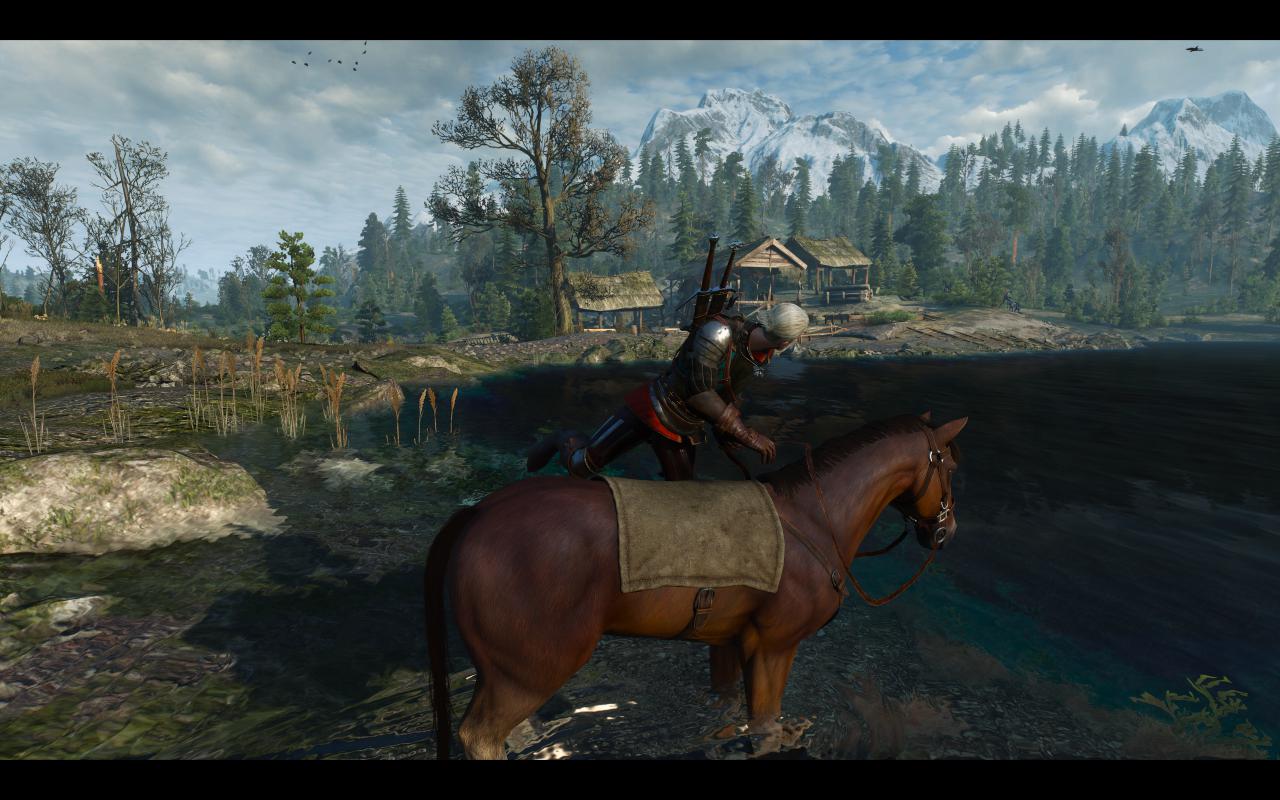 [13/05/2015] The Witcher 3: 3200p resized @ 1600p (12)