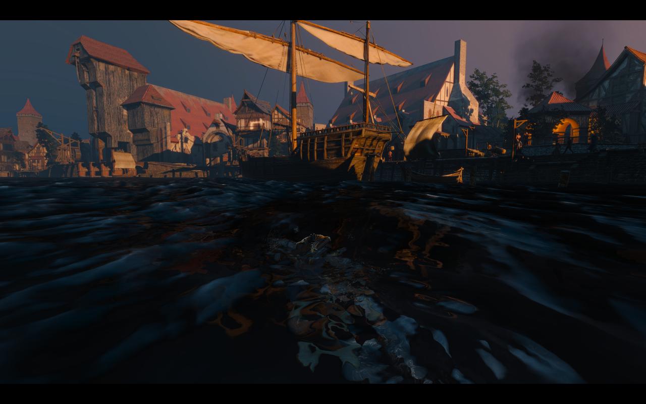 [13/05/2015] The Witcher 3: 3200p resized @ 1600p (13)