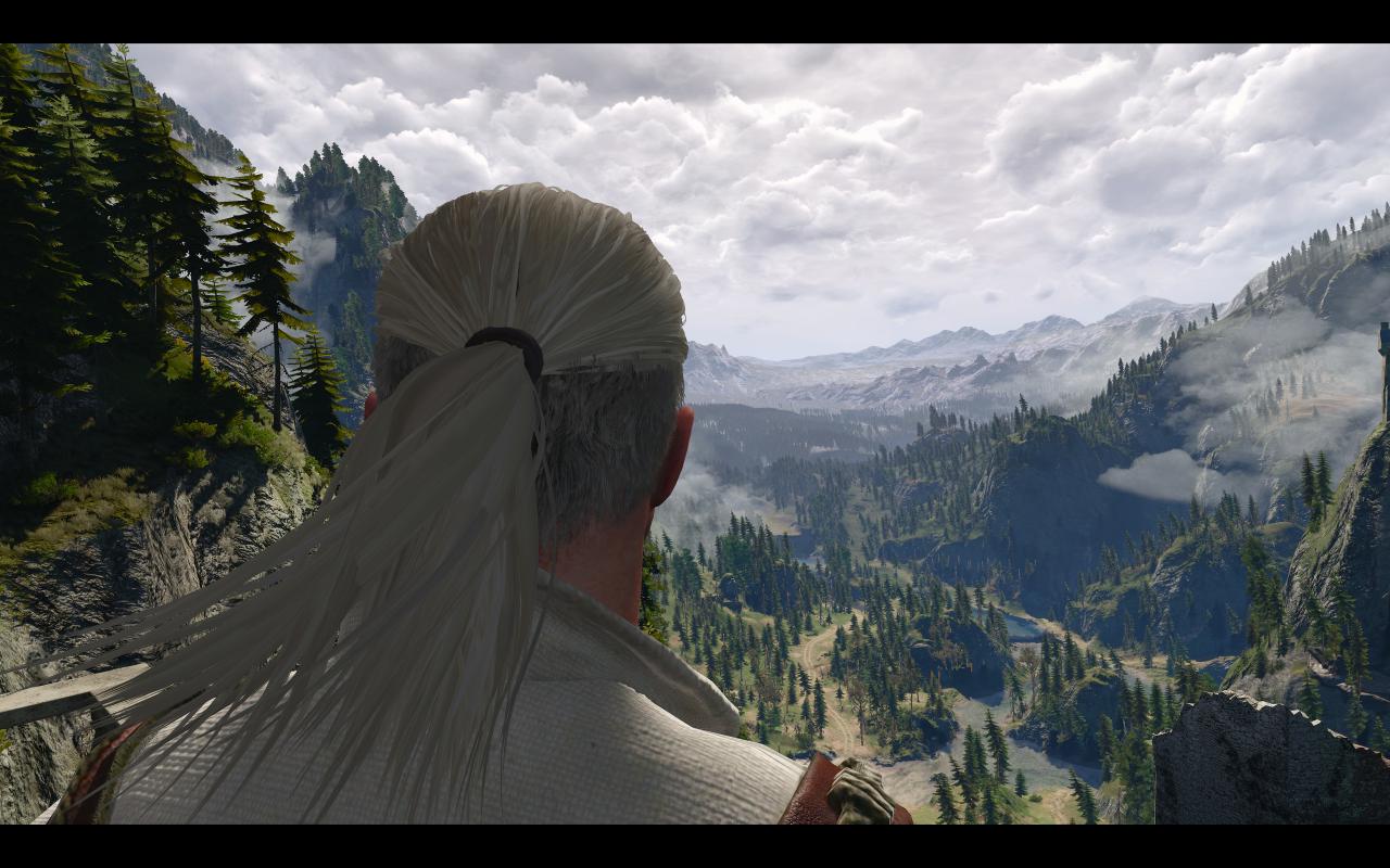 [13/05/2015] The Witcher 3: 3200p resized @ 1600p (26)