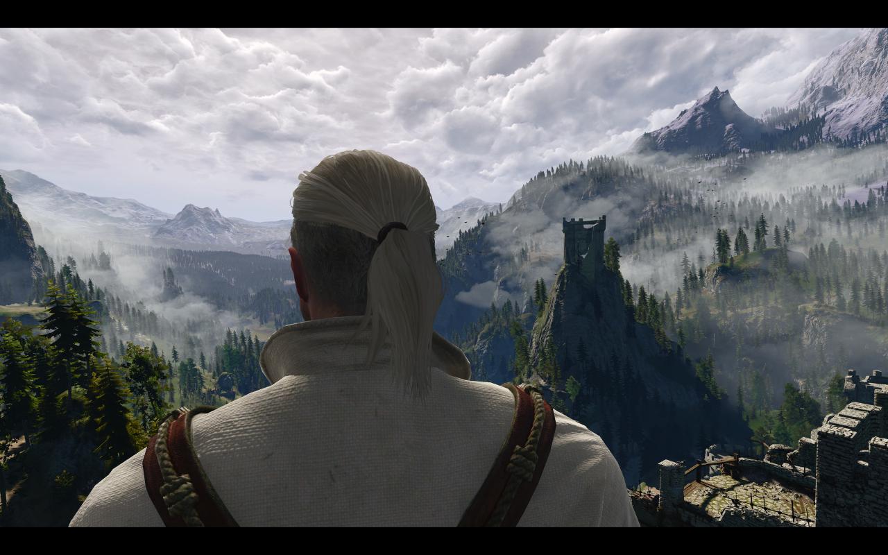 [13/05/2015] The Witcher 3: 3200p resized @ 1600p (27)