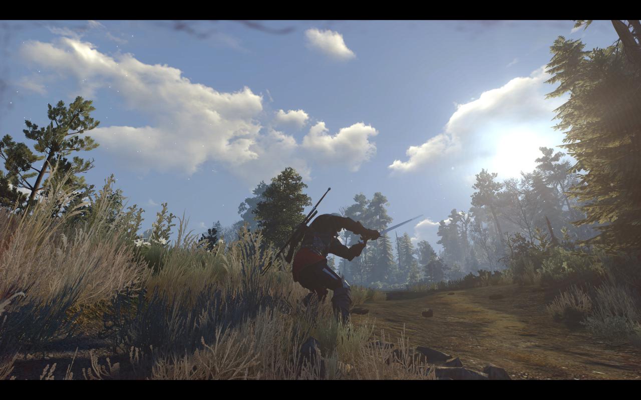 [13/05/2015] The Witcher 3: 3200p resized @ 1600p (4)