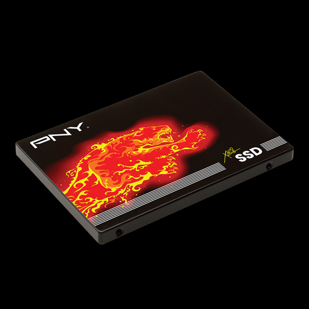 [27/05/2015] PNY CS2111