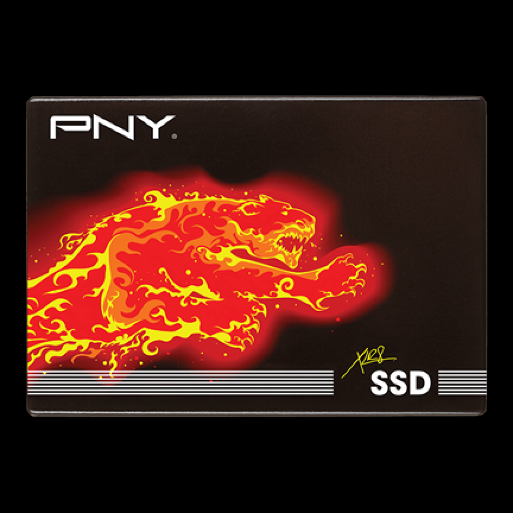 [27/05/2015] PNY CS2111