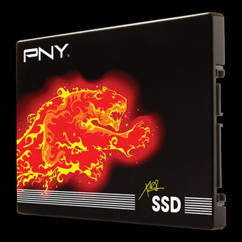 [27/05/2015] PNY CS2111