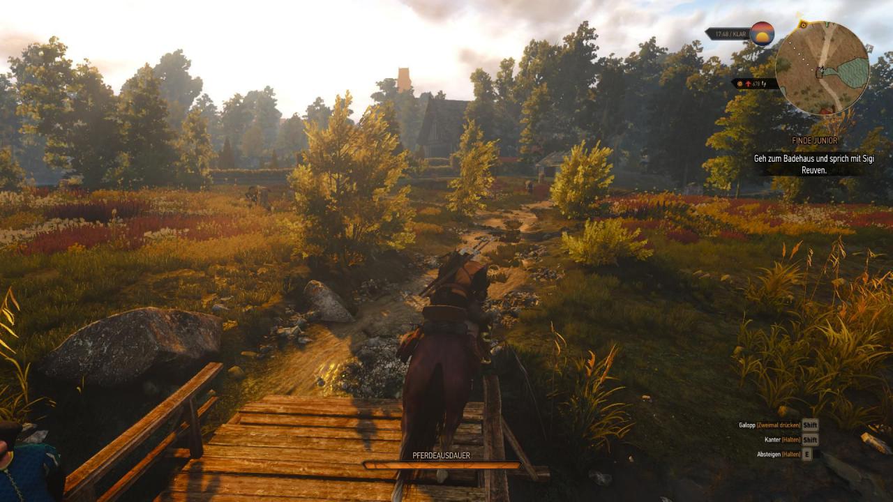 [15/05/2015] The Witcher 3 (3)