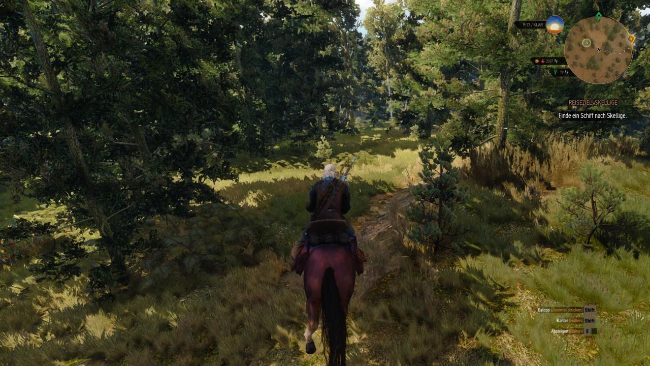 [15/05/2015] The Witcher 3 (2)