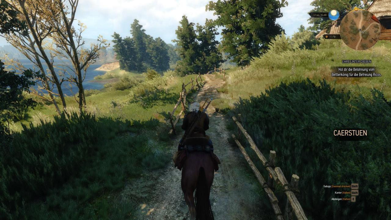 [15/05/2015] The Witcher 3 (1)
