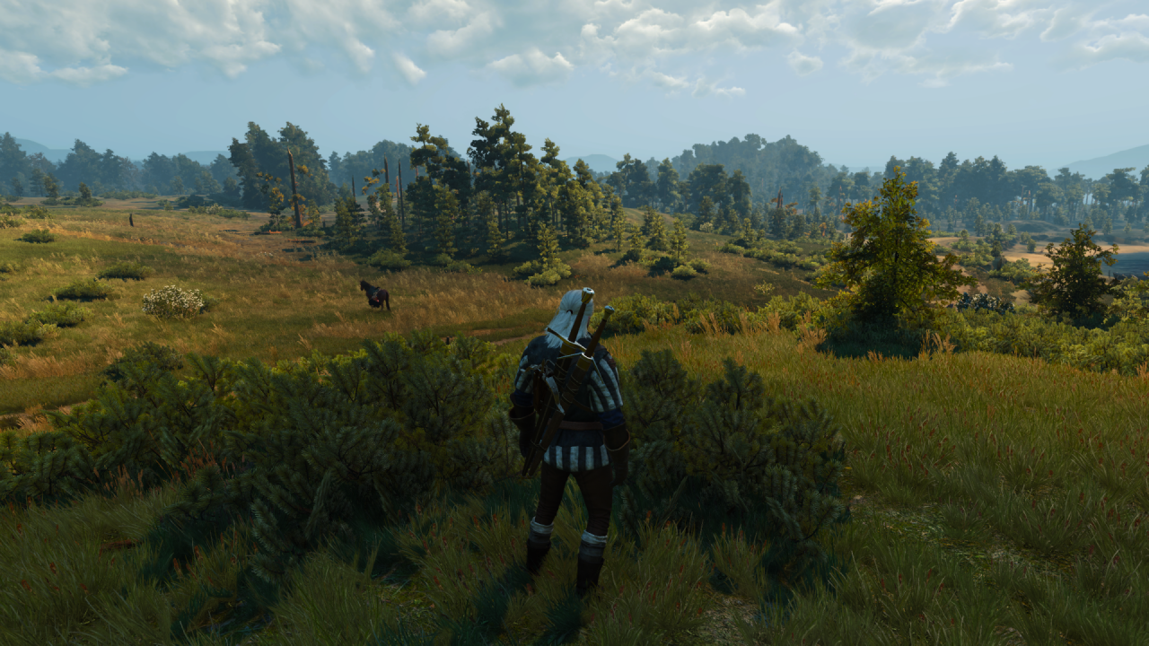 [28/05/2015] The Witcher 3 Vergleich 02 - PCGH-Enthusiast Hoch