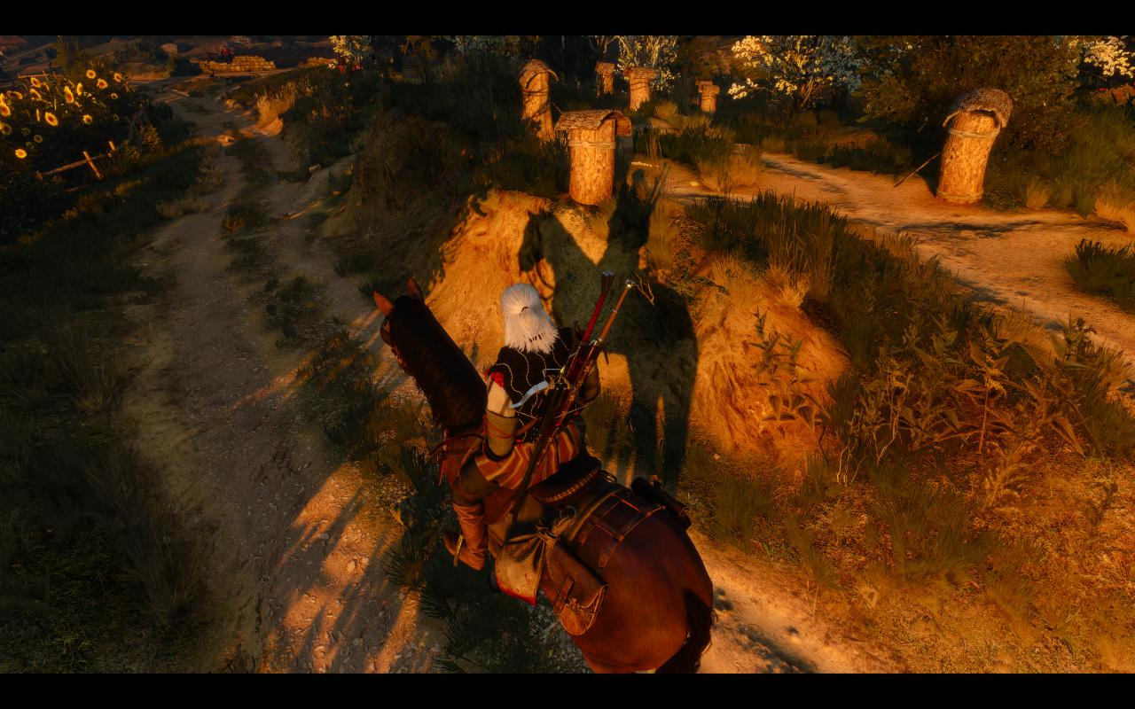 [13/05/2015] The Witcher 3: 3200p resized @ 1600p (29)