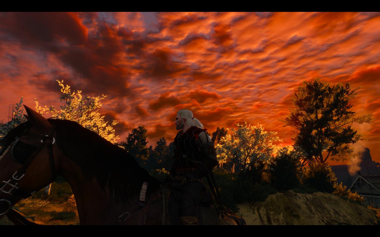 [13/05/2015] The Witcher 3: 3200p resized @ 1600p (30)