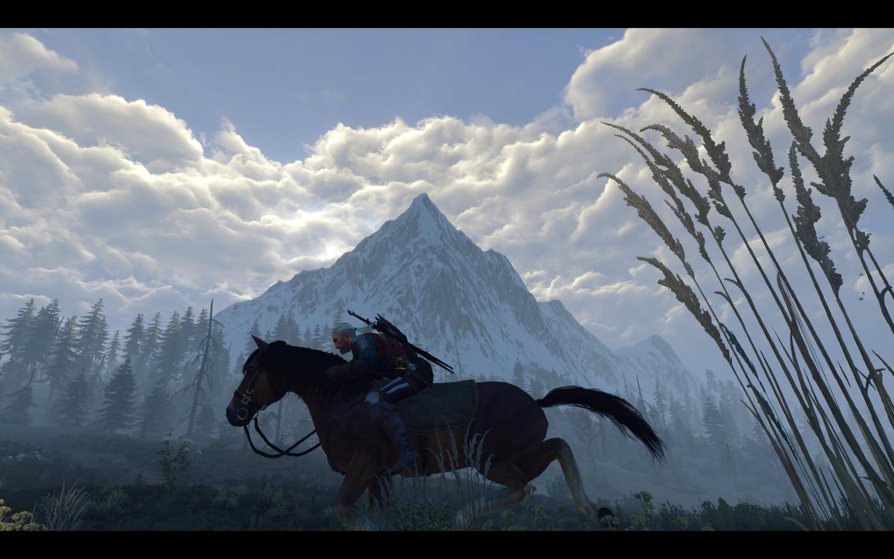 [13/05/2015] Screenshots aus The Witcher 3 (2)
