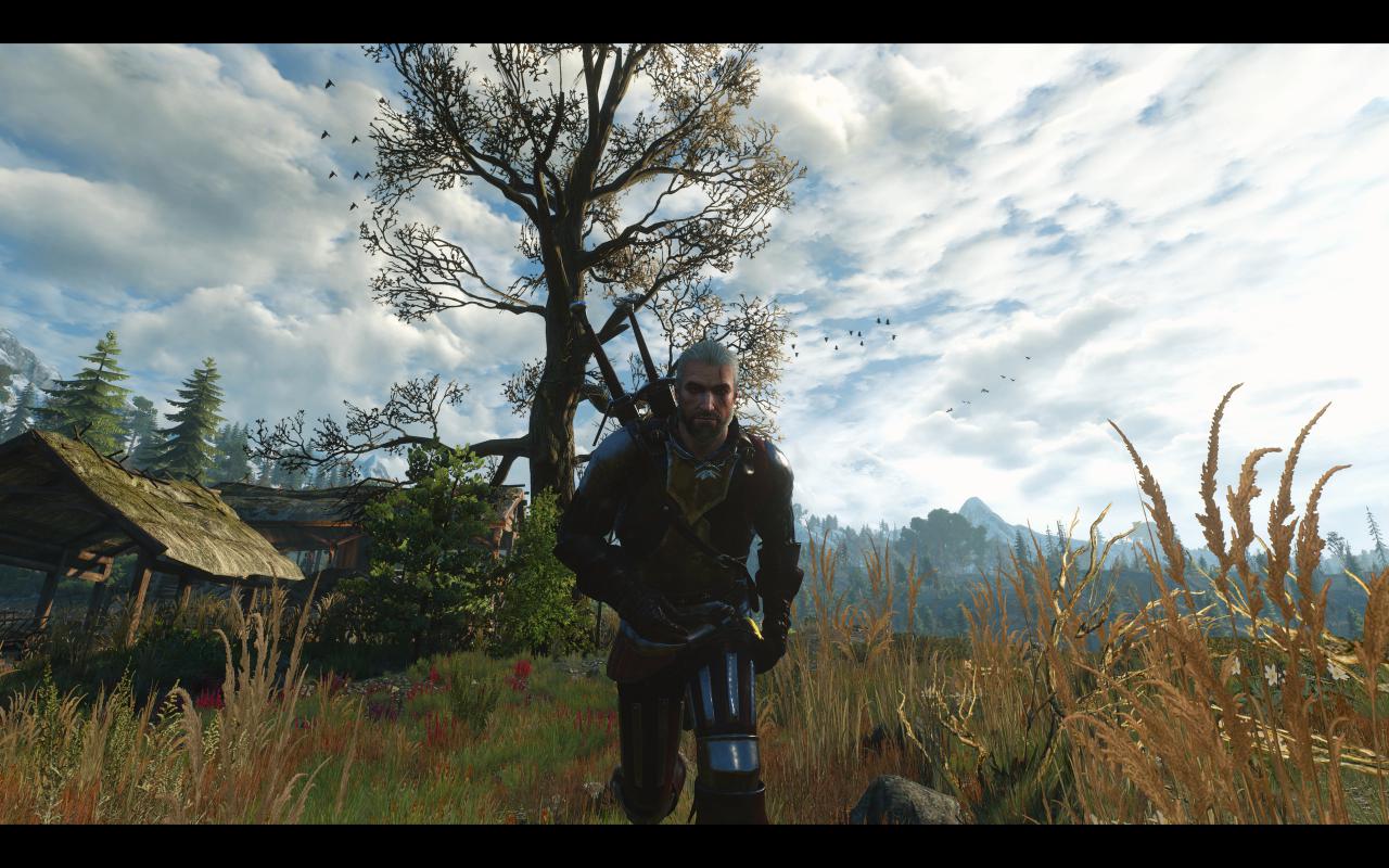 [13/05/2015] The Witcher 3: 3200p resized @ 1600p (33)