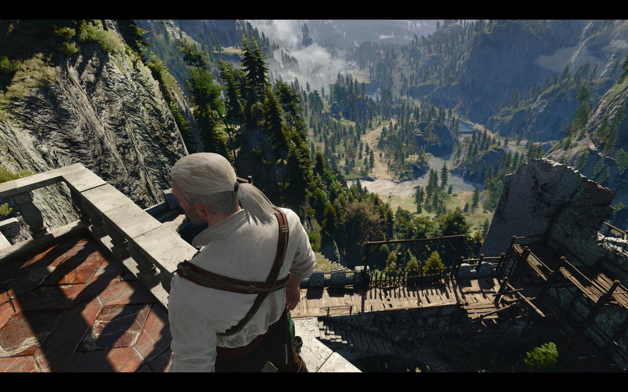 [13/05/2015] The Witcher 3: 3200p resized @ 1600p (35)