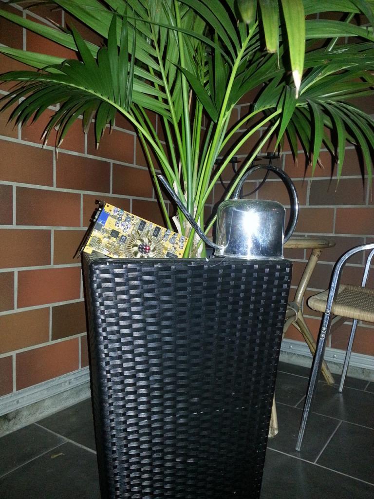 [01/06/2015] Foto von Rayken