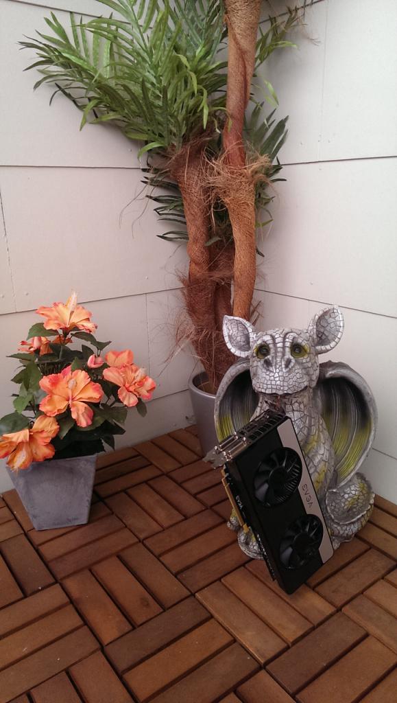[01/06/2015] Foto von Kathrin N.