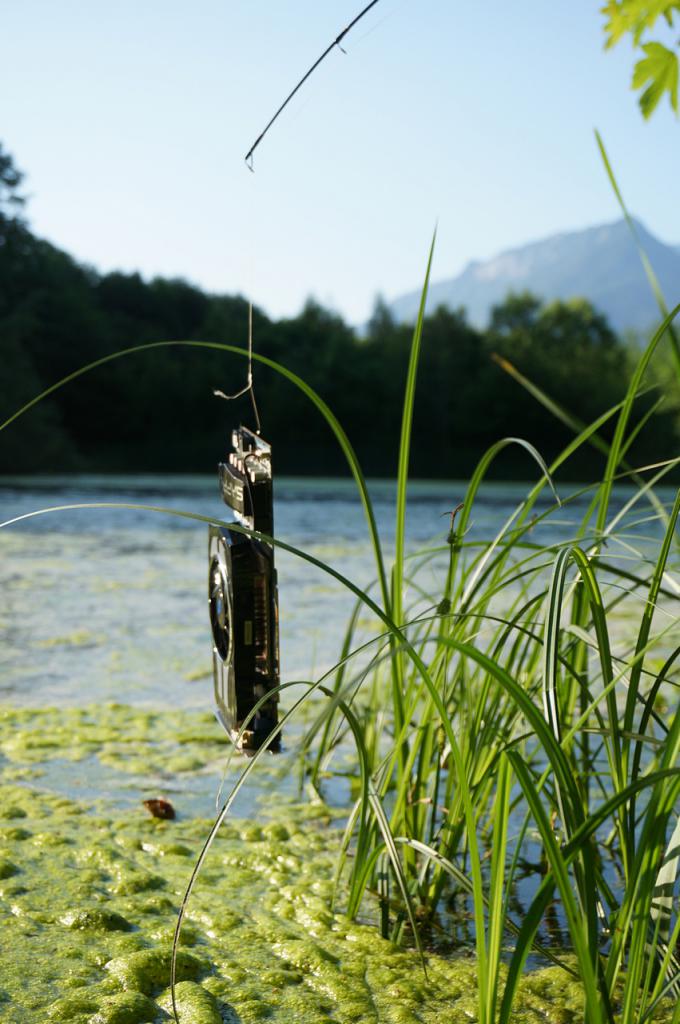[30/06/2015] Foto von Lorenz S.