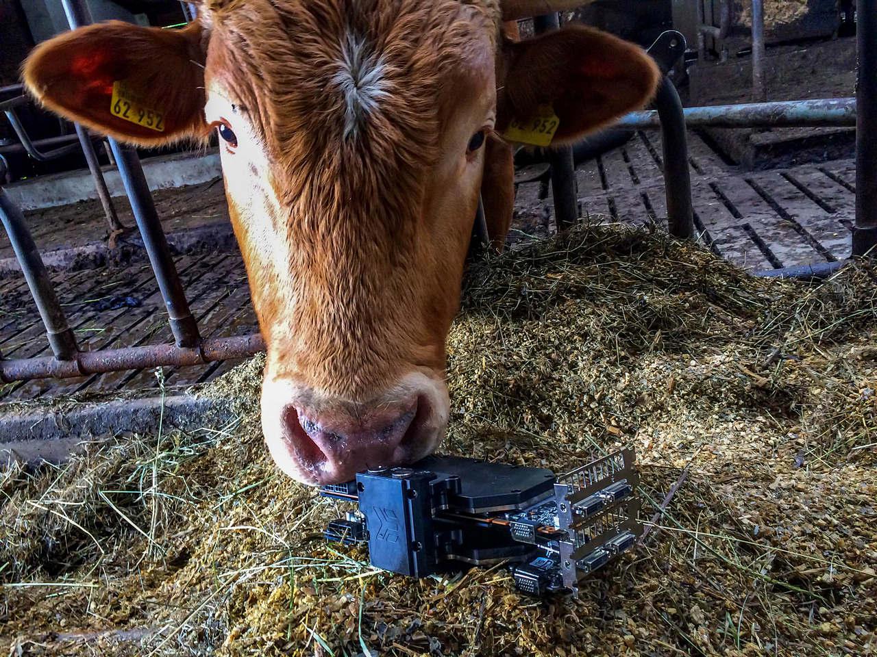 [30/06/2015] Foto von Christoph K.