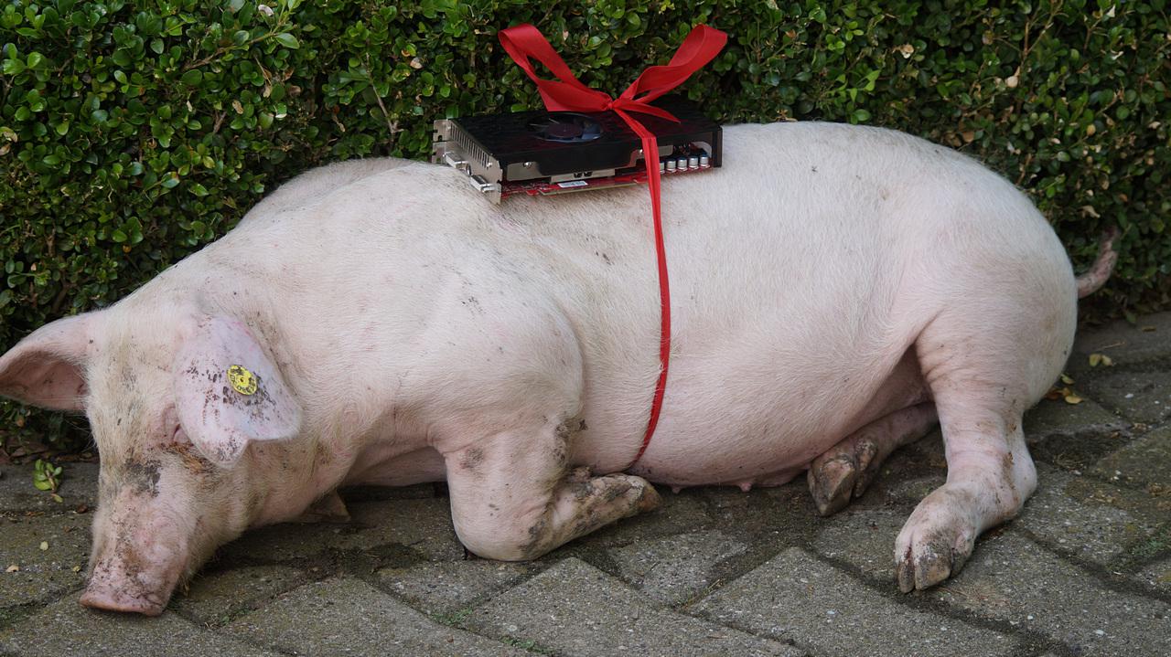 [30/06/2015] Foto von Norbert T.