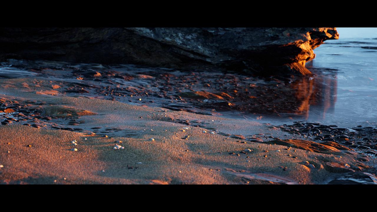 [30/06/2015] Unreal Engine 4: Nutzer-Demo zeigt überaus realistischen Strand (1)