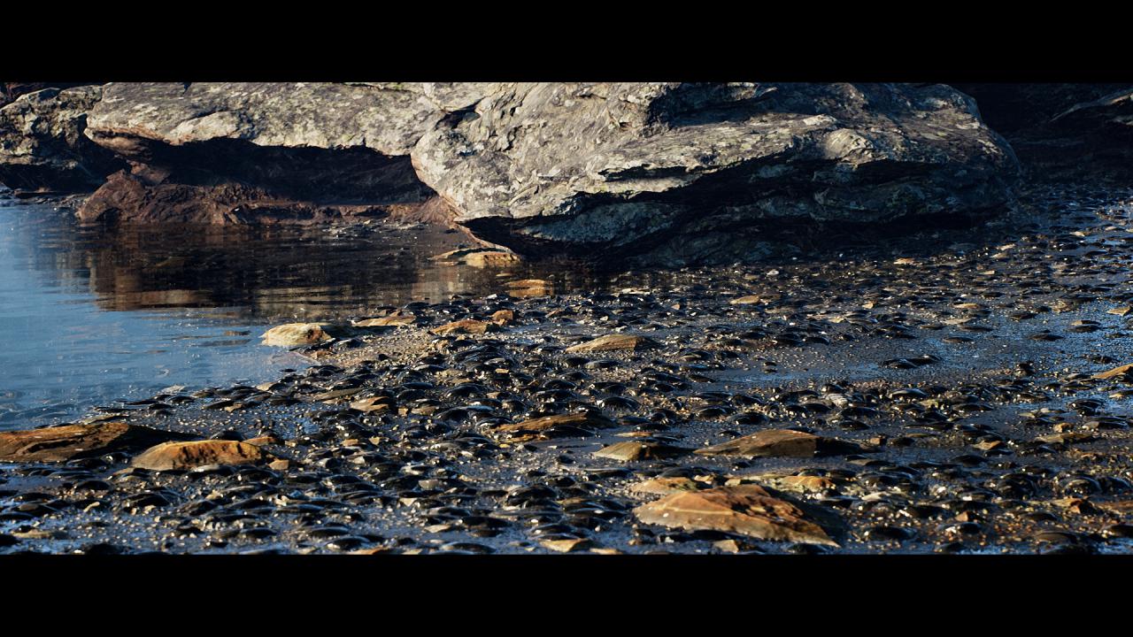 [30/06/2015] Unreal Engine 4: Nutzer-Demo zeigt überaus realistischen Strand (3)