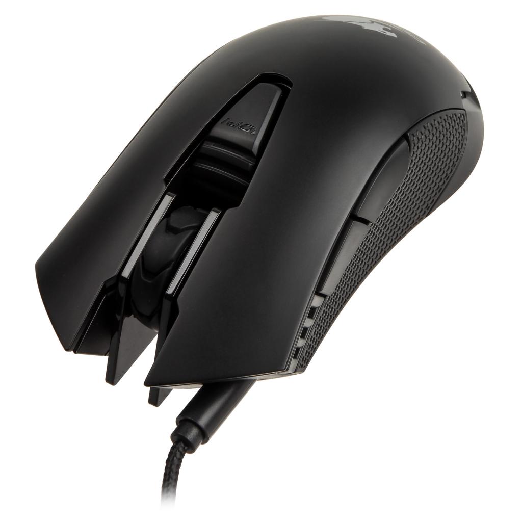 [20/07/2015] Cougar 500M Maus 2