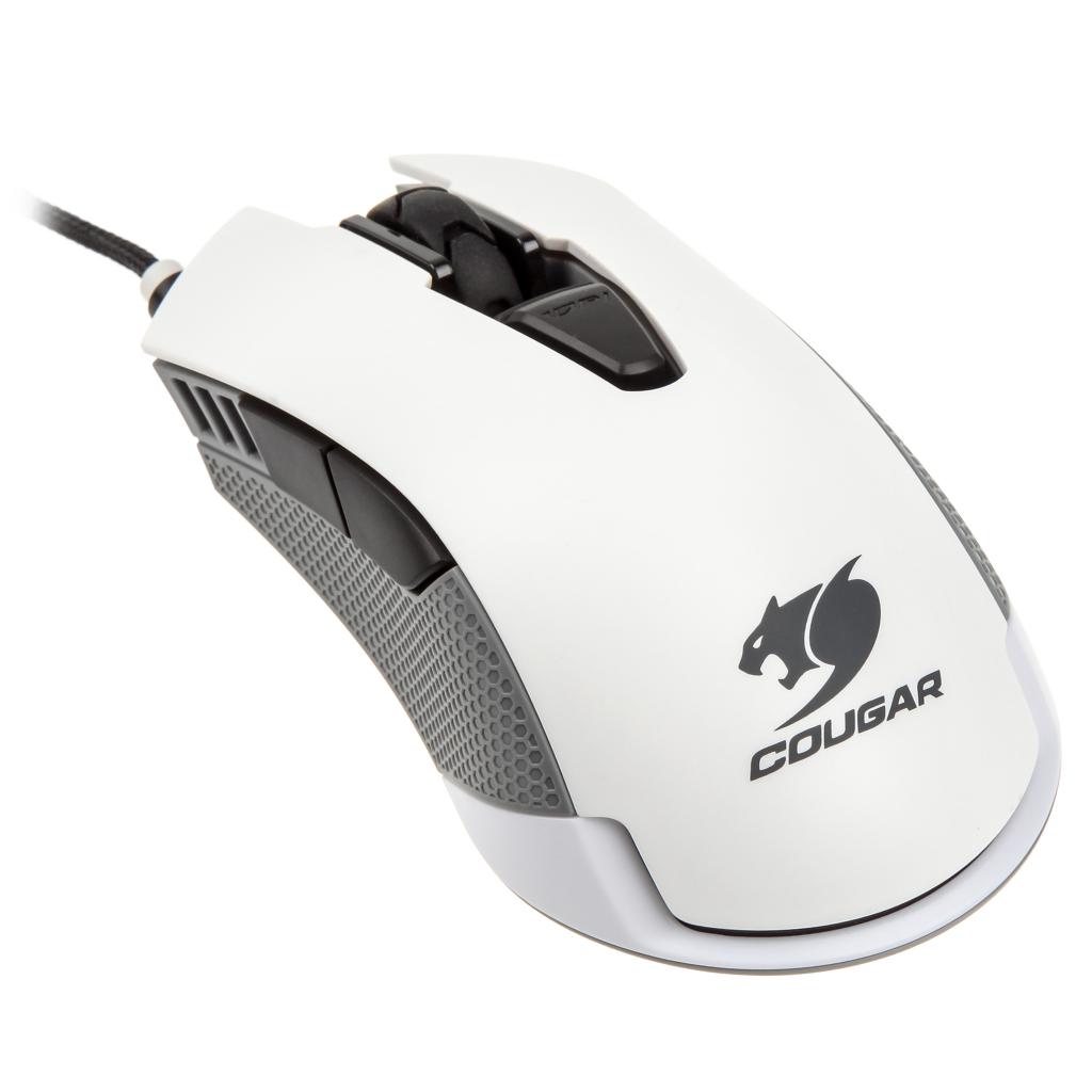 [20/07/2015] Cougar 500M Maus 5