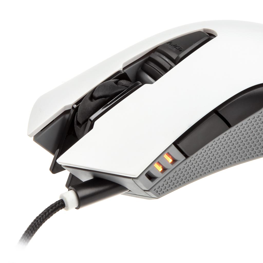 [20/07/2015] Cougar 500M Maus 6
