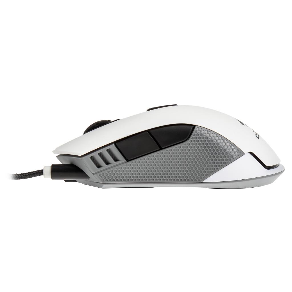 [20/07/2015] Cougar 500M Maus 9
