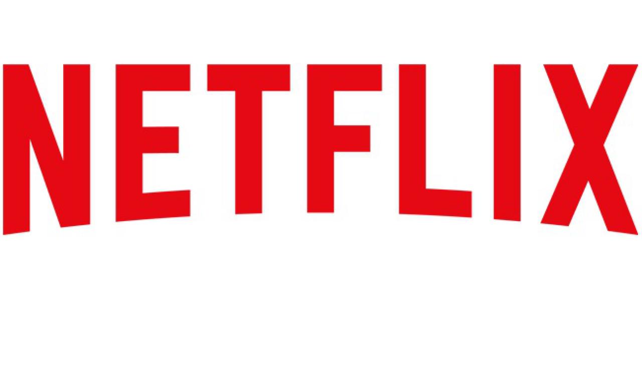 [23/07/2015] Netflix nennt Fortnite als wichtigen Konkurrenten.