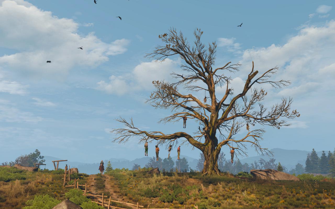 [29/07/2015] The Witcher 3 maxed und downsampled 104