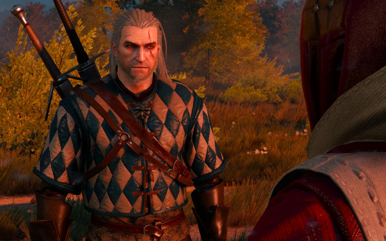 [29/07/2015] The Witcher 3 maxed und downsampled 113