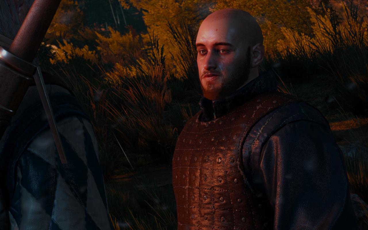 [29/07/2015] The Witcher 3 maxed und downsampled 119