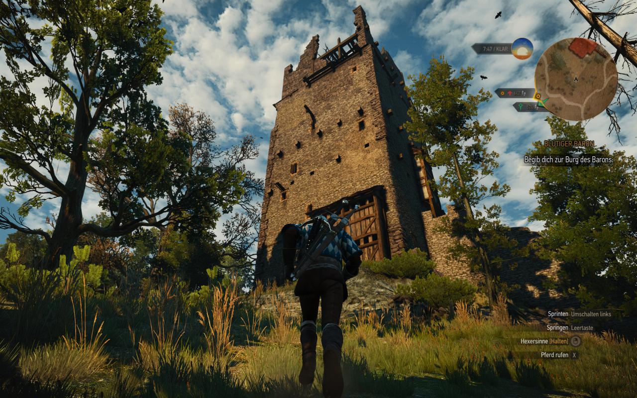 [29/07/2015] The Witcher 3 maxed und downsampled 141