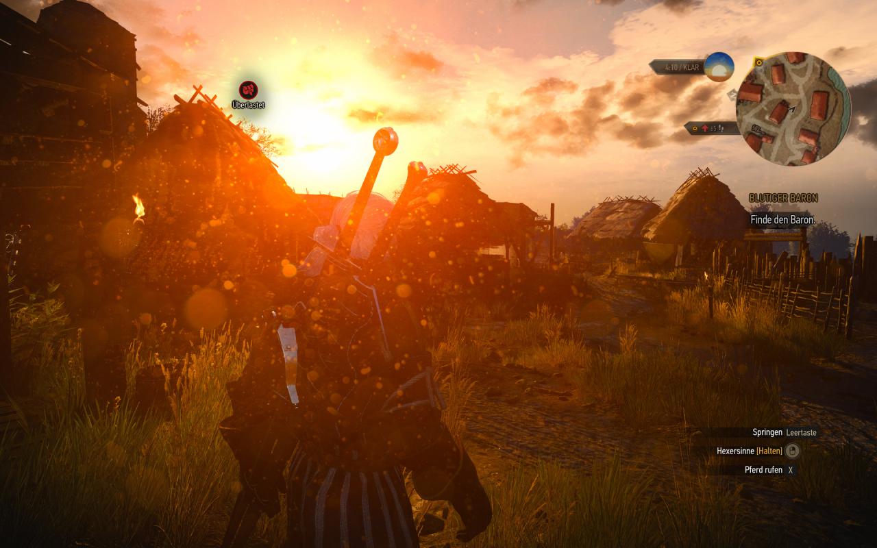 [29/07/2015] The Witcher 3 maxed und downsampled 161