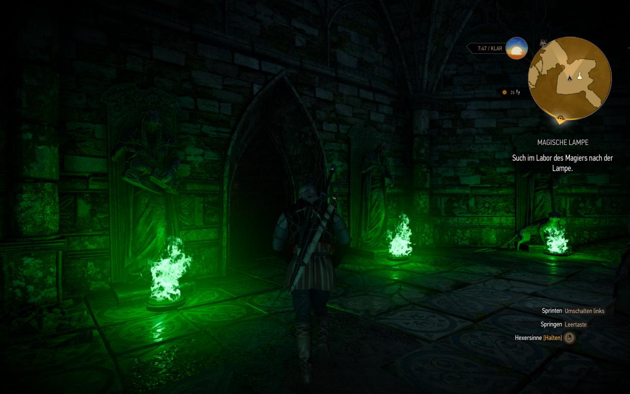 [29/07/2015] The Witcher 3 maxed und downsampled 234